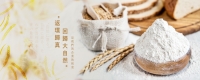 banner-index.jpg